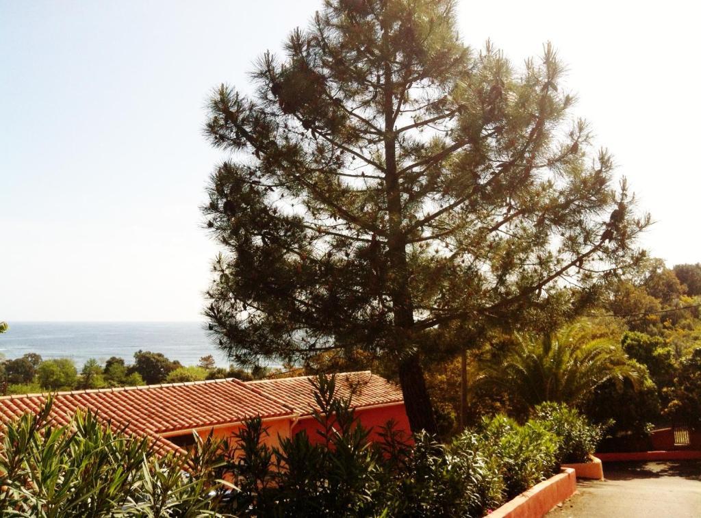 Hotel Residence San Pieru Tarcu Exterior photo