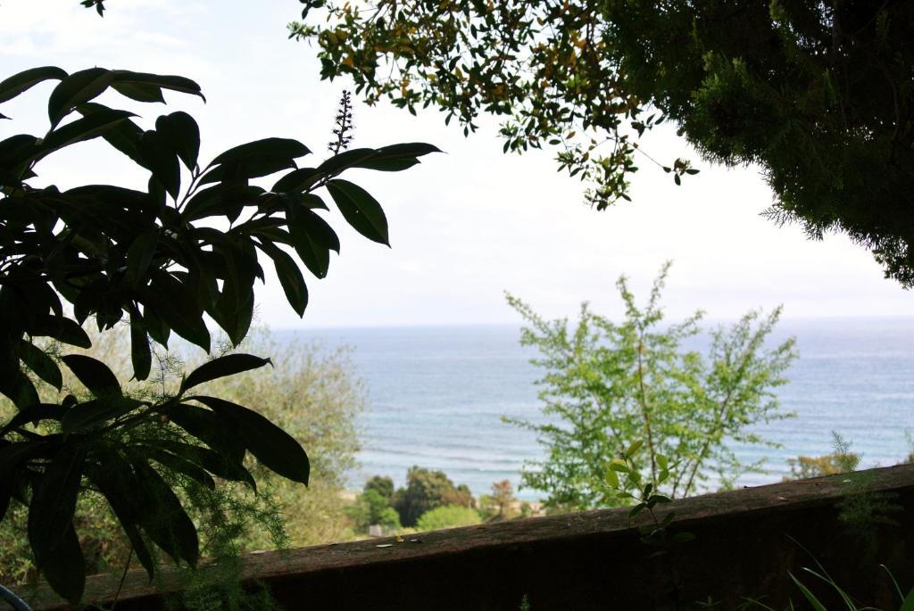 Hotel Residence San Pieru Tarcu Exterior photo